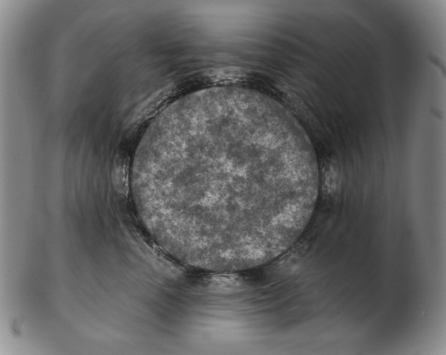 X0000103140666200809121755