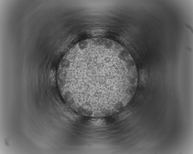 X0000103140667200809121755