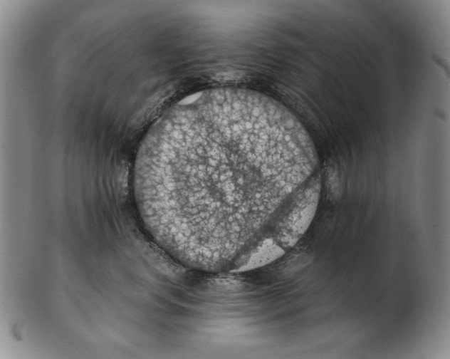 X0000103140668200809121755