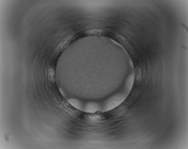 X0000103140669200809121755