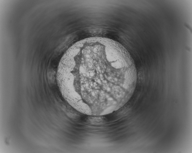 X0000103140671200809121755