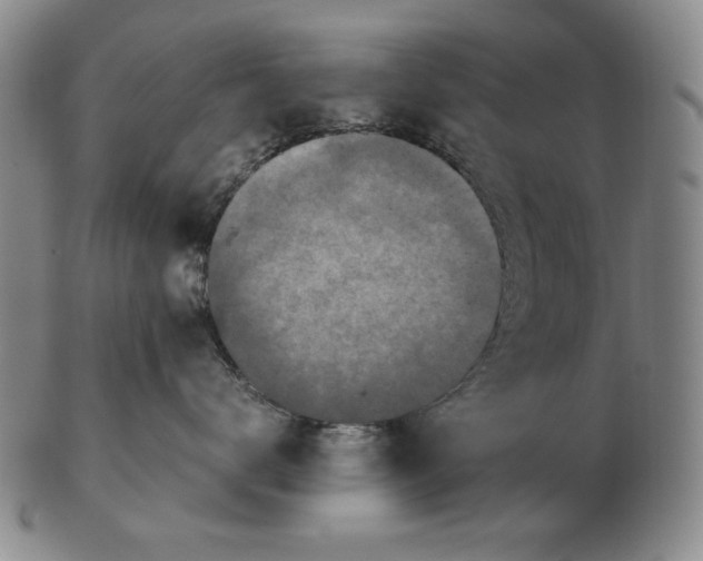 X0000103140672200809121755