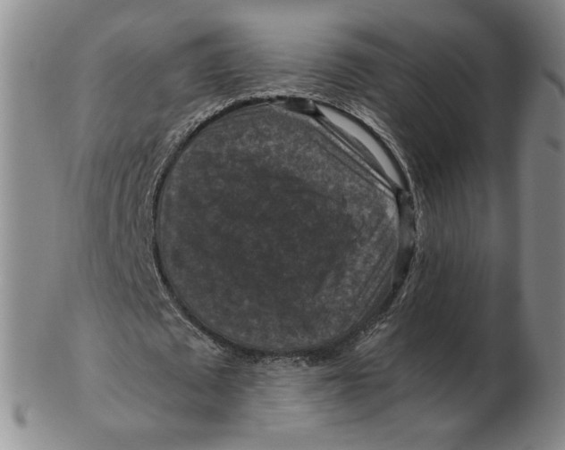 X0000103140673200809121754