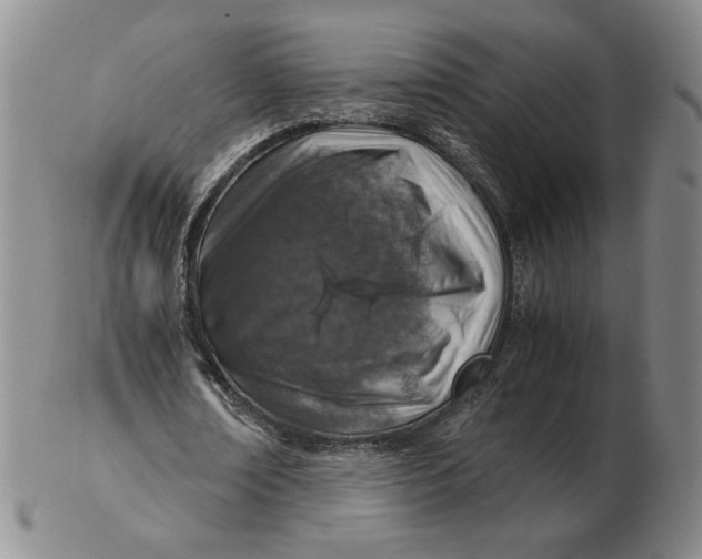 X0000103140674200809121754