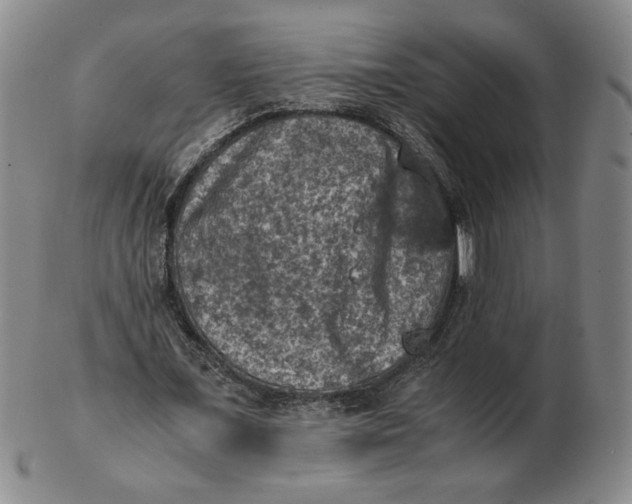 X0000103140675200809121754