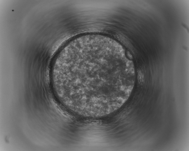 X0000103140676200809121754