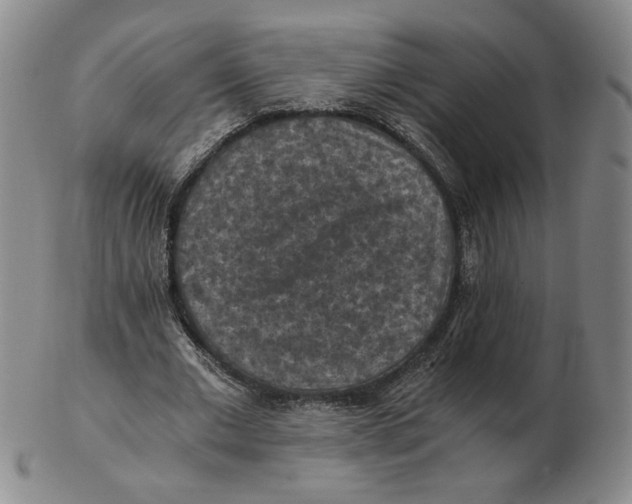 X0000103140677200809121754