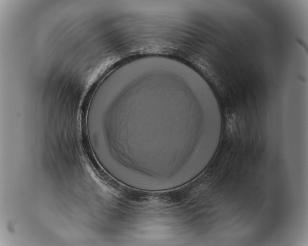 X0000103140678200809121754