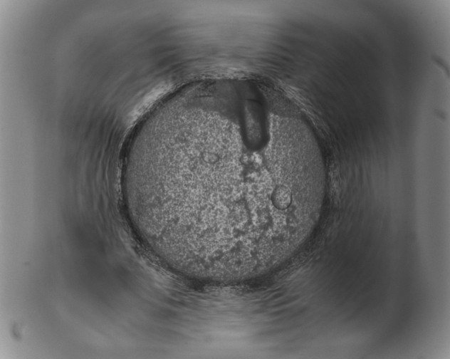 X0000103140679200809121754