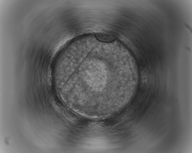 X0000103140680200809121754