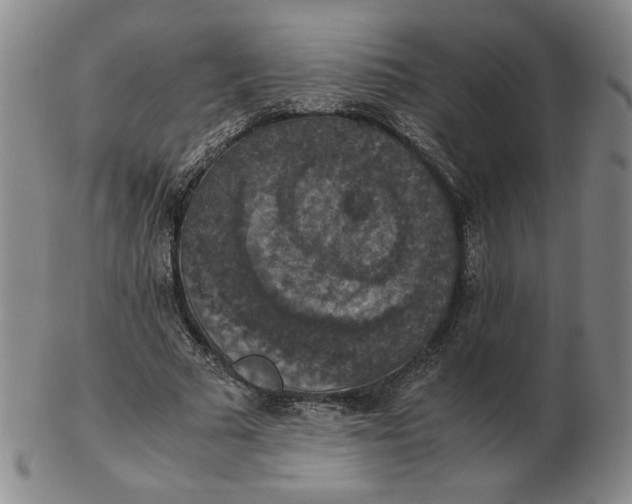 X0000103140681200809121754