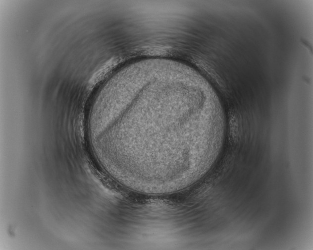 X0000103140682200809121754