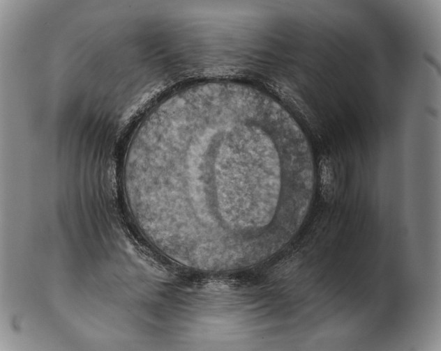 X0000103140684200809121754