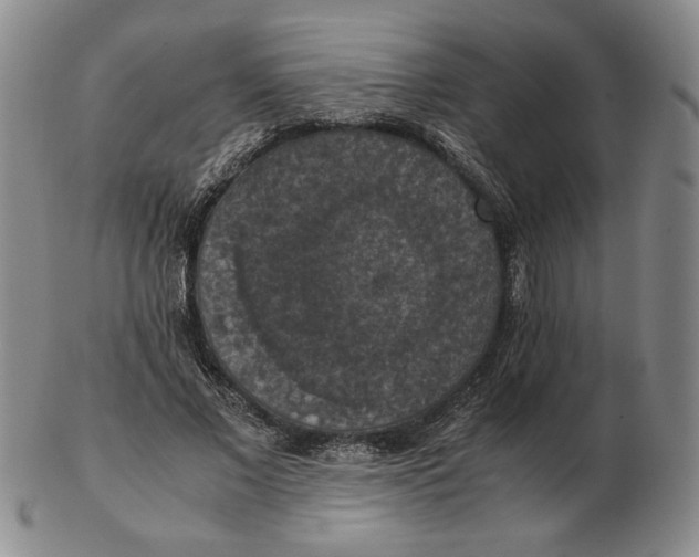 X0000103140685200809121754