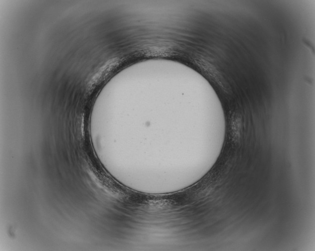 X0000103140686200809121754