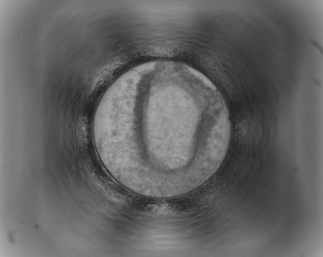 X0000103140688200809121754