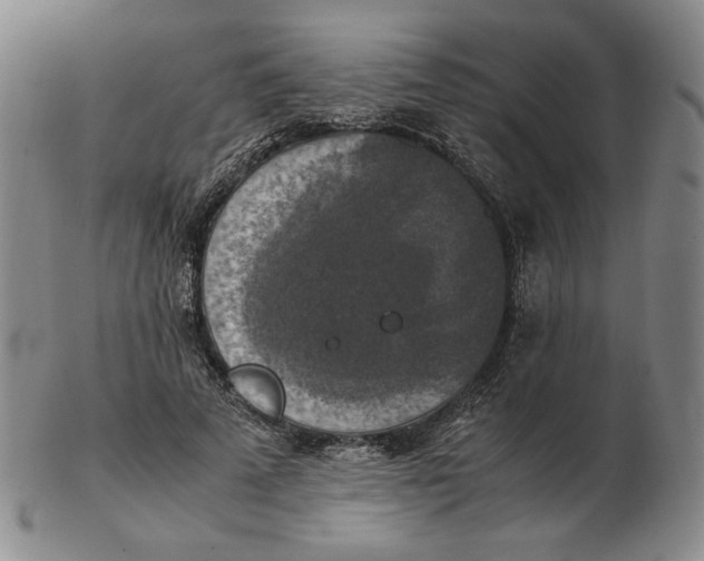 X0000103140689200809121754