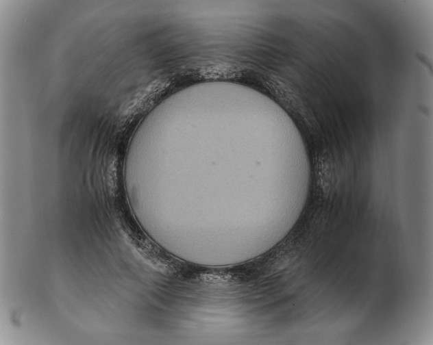 X0000103140690200809121754