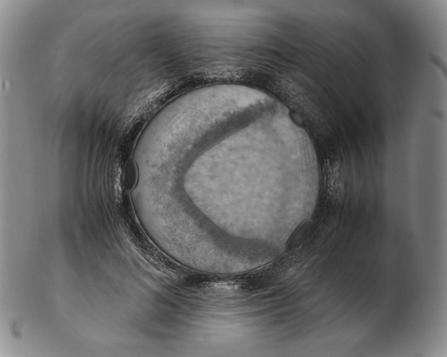 X0000103140692200809121754