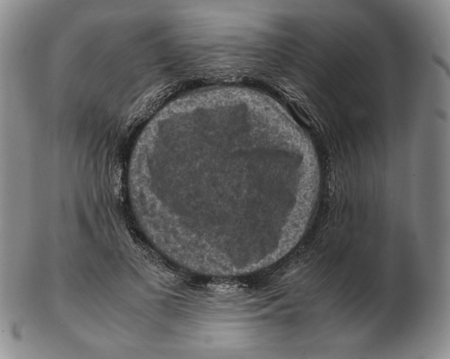 X0000103140693200809121754