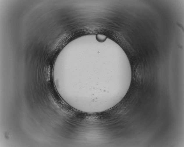 X0000103140694200809121754