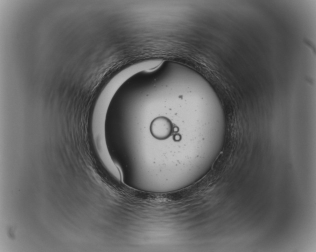 X0000103140695200809121754