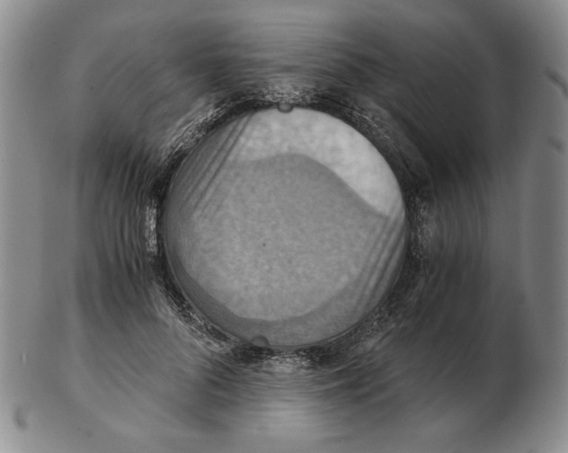 X0000103140696200809121754