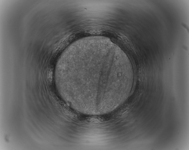 X0000103140697200809121754