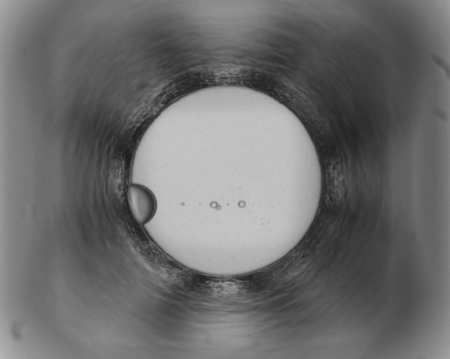 X0000103140698200809121754