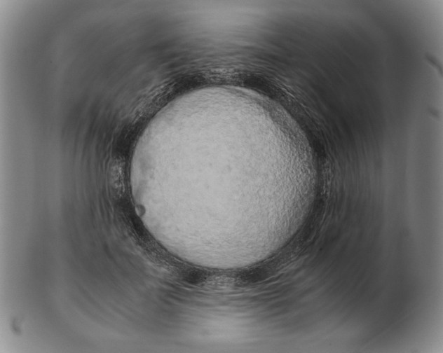 X0000103140699200809121754