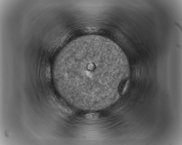 X0000103140700200809121754