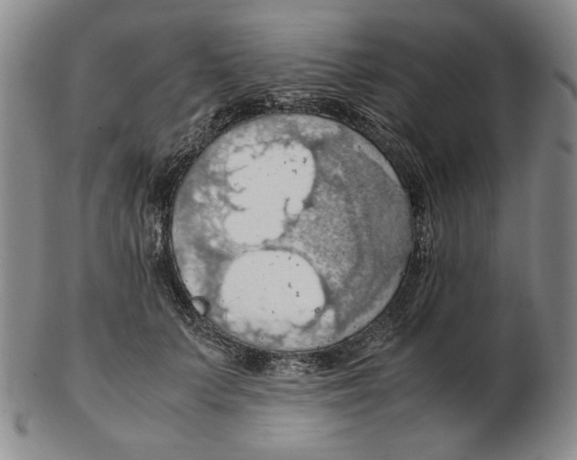 X0000103140703200809121754