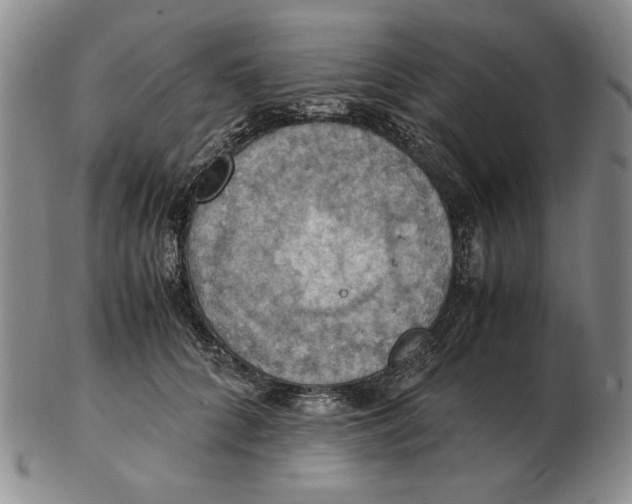 X0000103140704200809121754