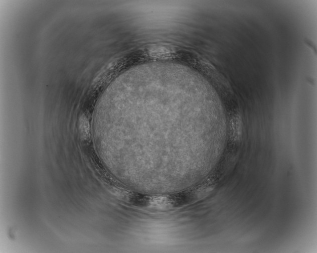 X0000103140705200809121754