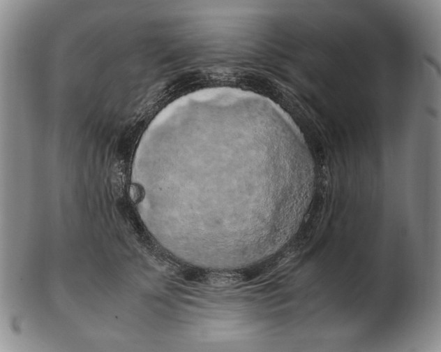 X0000103140707200809121754