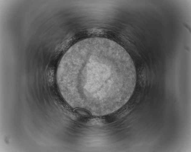 X0000103140708200809121754