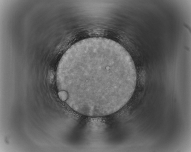 X0000103140709200809121754