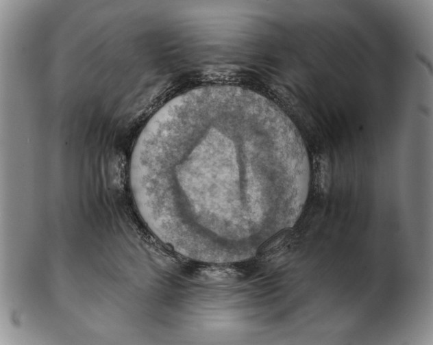 X0000103140712200809121754