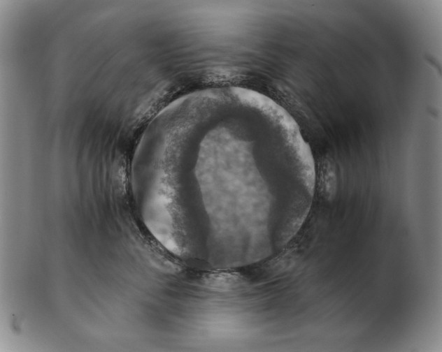 X0000103140716200809121754