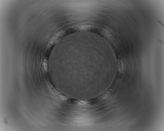 X0000103140718200809121754