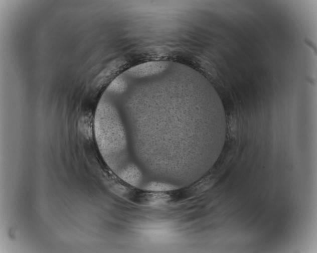 X0000103140719200809121754