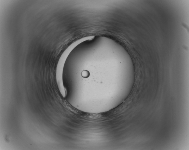 X0000103140720200809121754