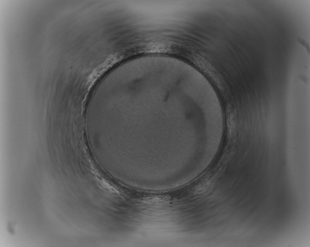 X0000103140721200809121753