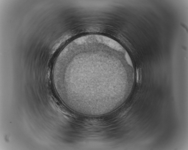 X0000103140723200809121753