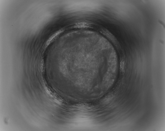 X0000103140724200809121753