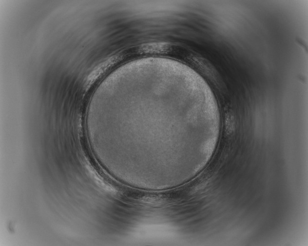 X0000103140725200809121753