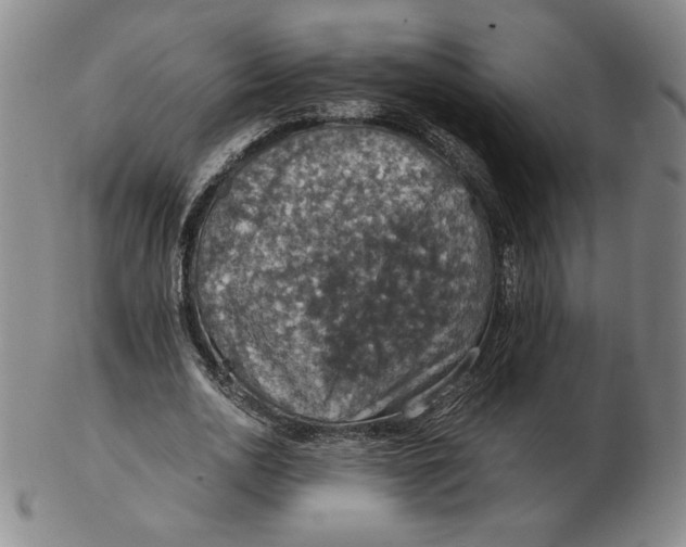 X0000103140726200809121753