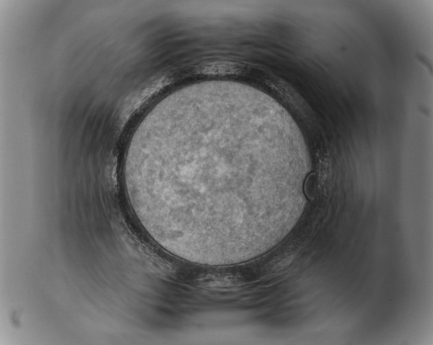 X0000103140727200809121753