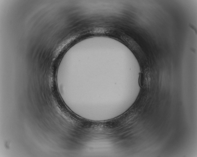 X0000103140728200809121753