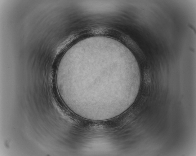 X0000103140730200809121753